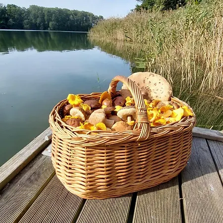 Mazurowe Wybrzeze * Stare Kiejkuty