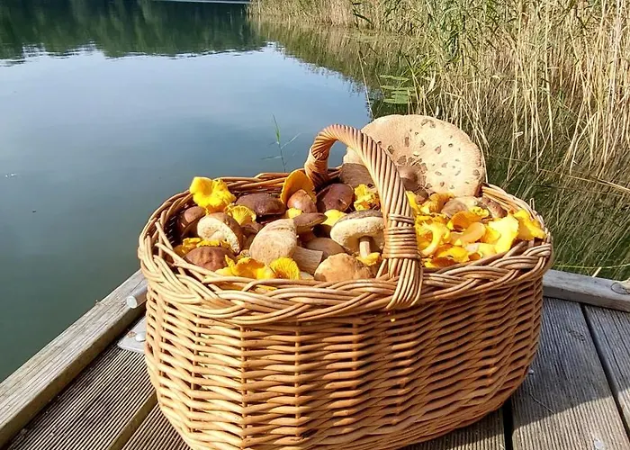 Mazurowe Wybrzeze * Stare Kiejkuty